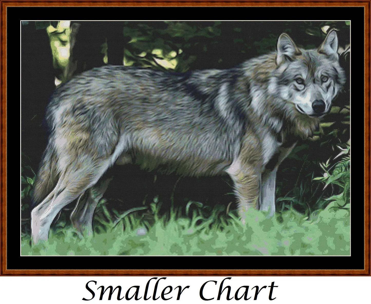 Wolf Portrait