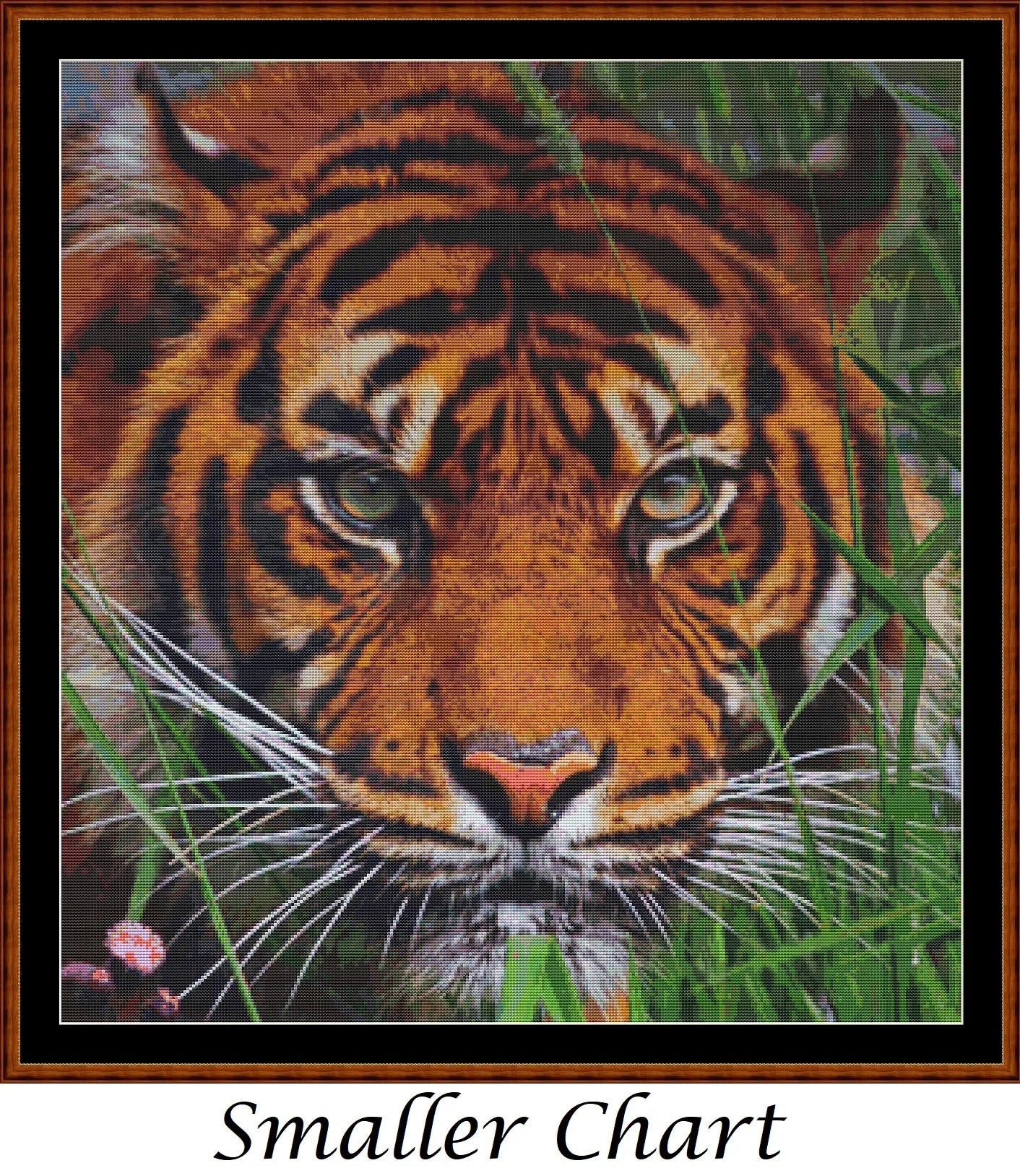 Faces Of The Cat - Tiger