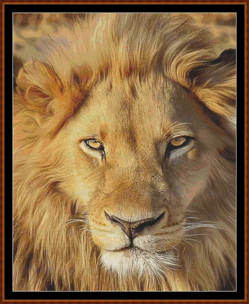 Faces Of The Cat - Lion