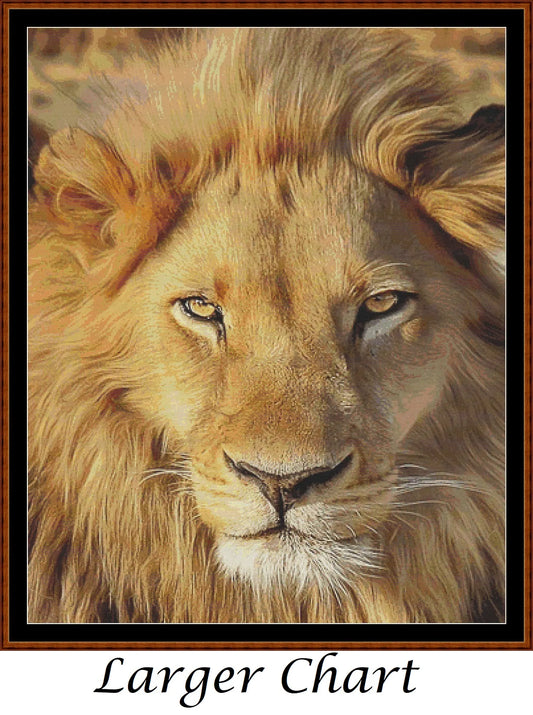 Faces Of The Cat - Lion