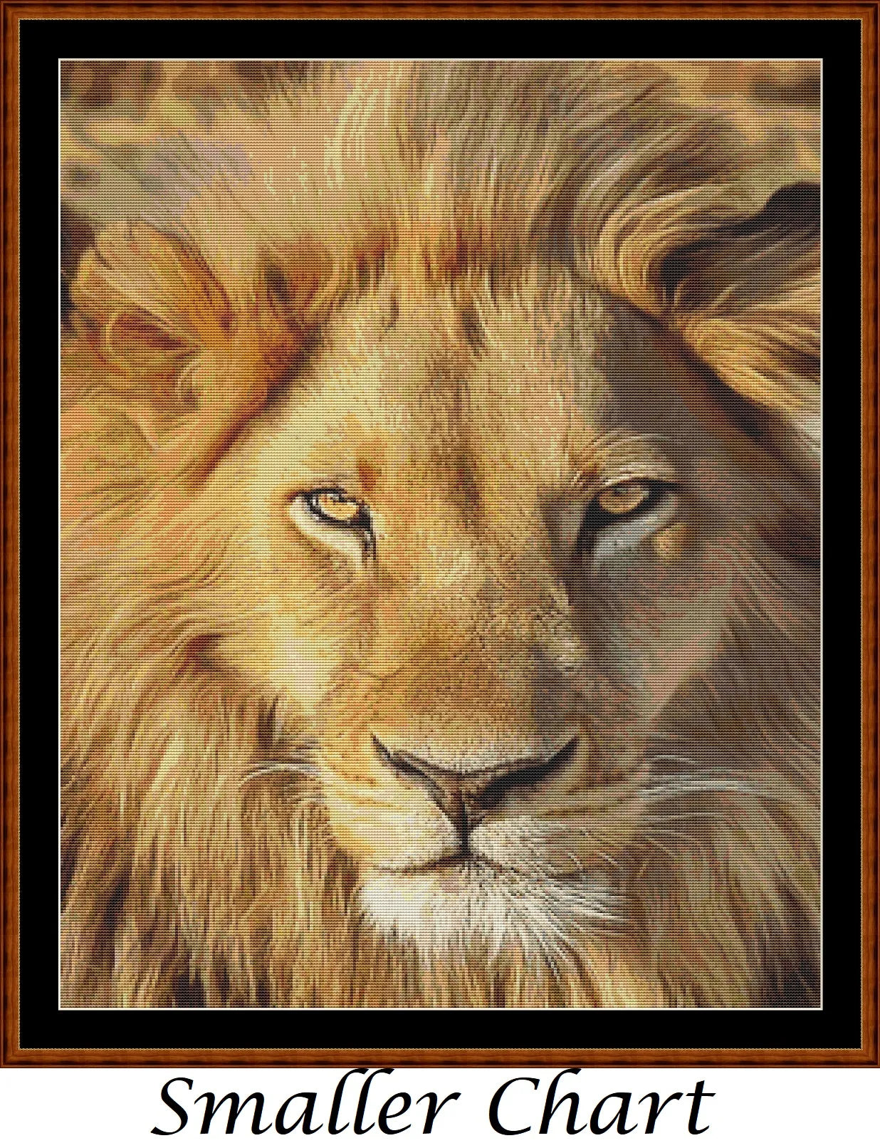Faces Of The Cat - Lion