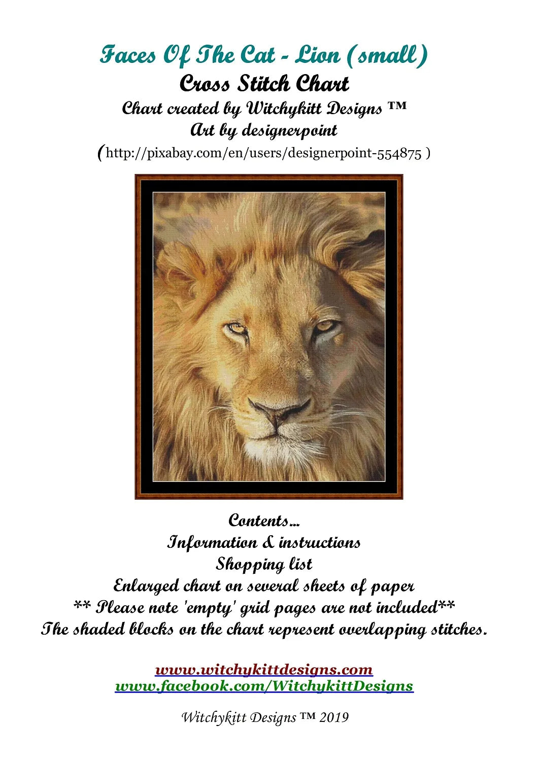 Faces Of The Cat - Lion