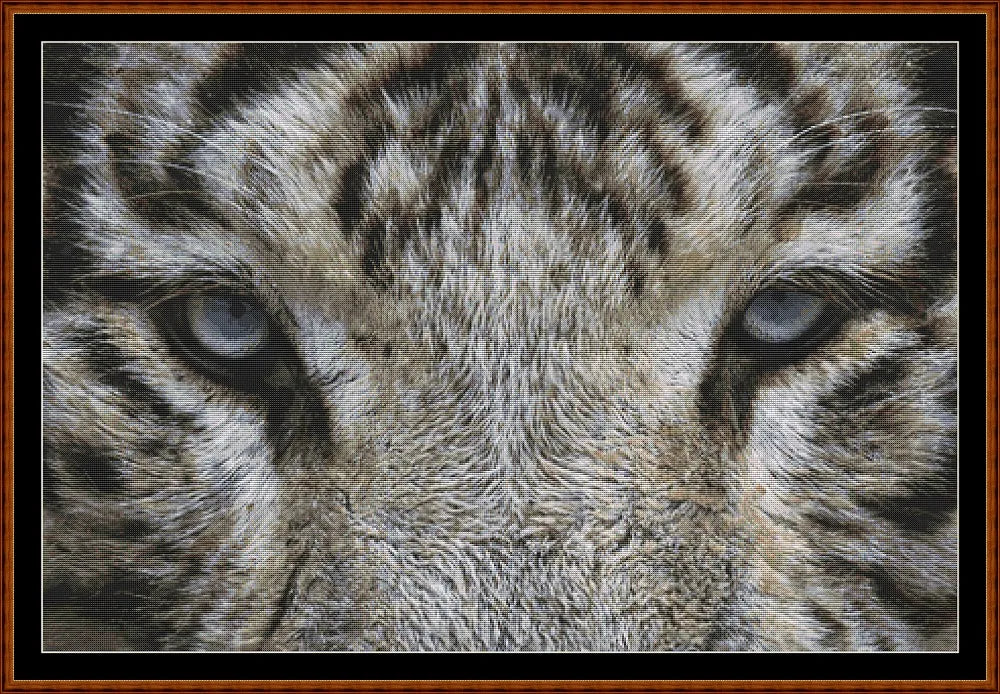 Eyes - White Tiger