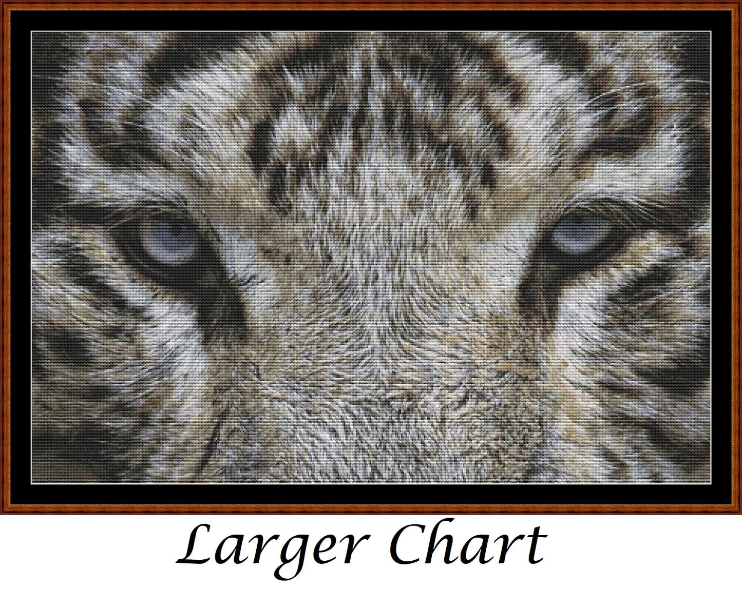 Eyes - White Tiger