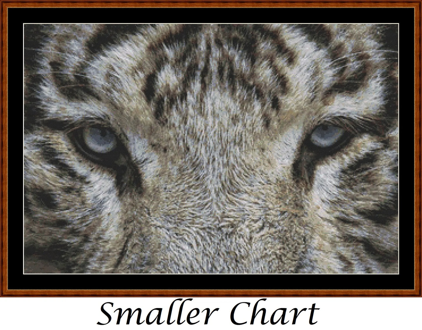 Eyes - White Tiger