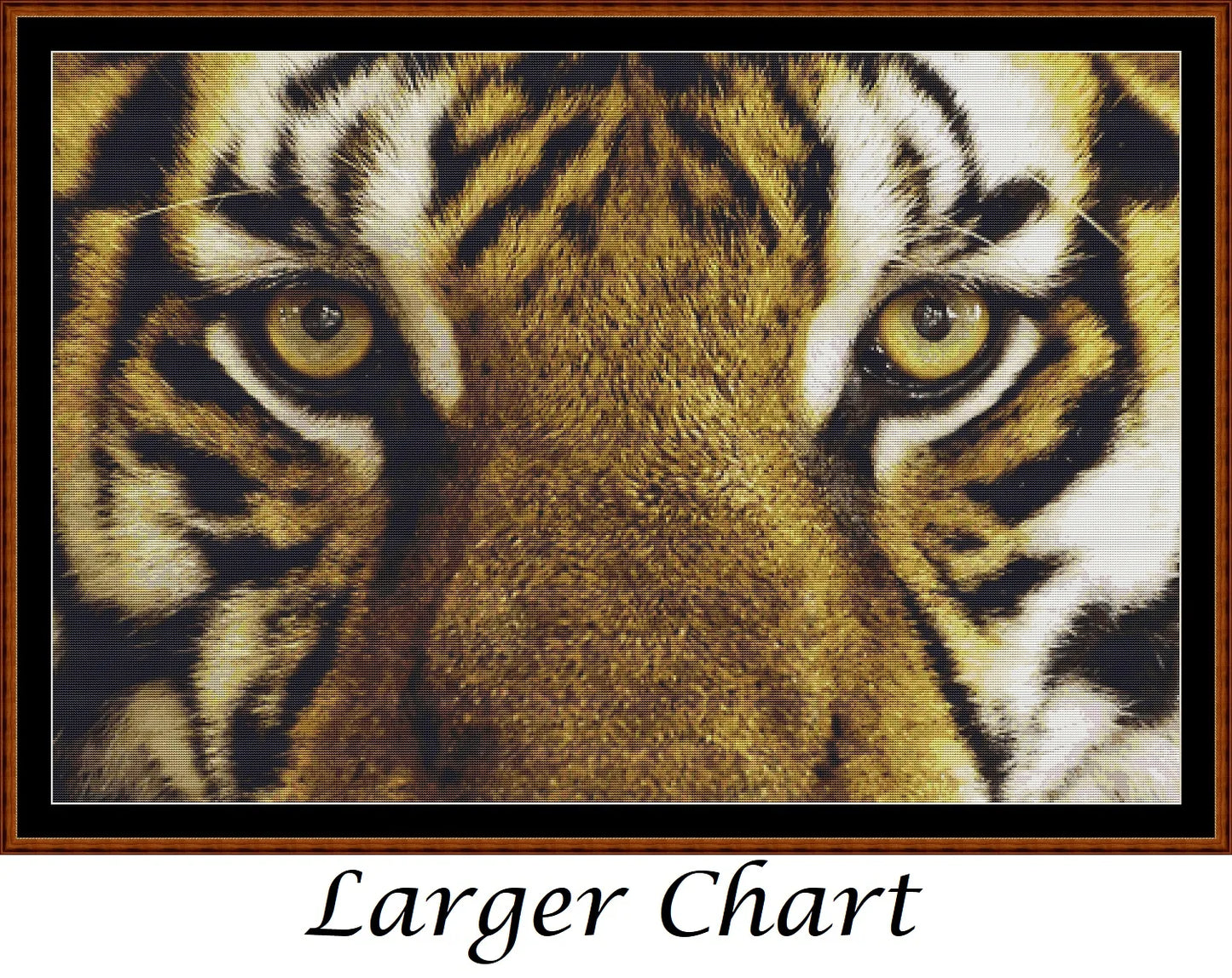 Eyes - Tiger