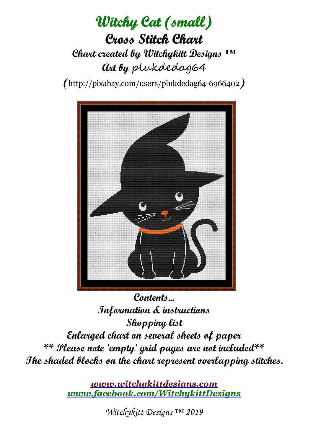 Witchy Cat