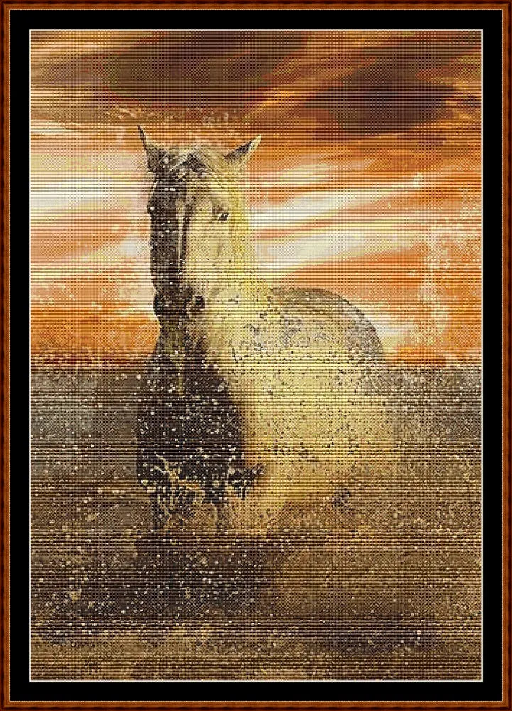 Sunset Gallop