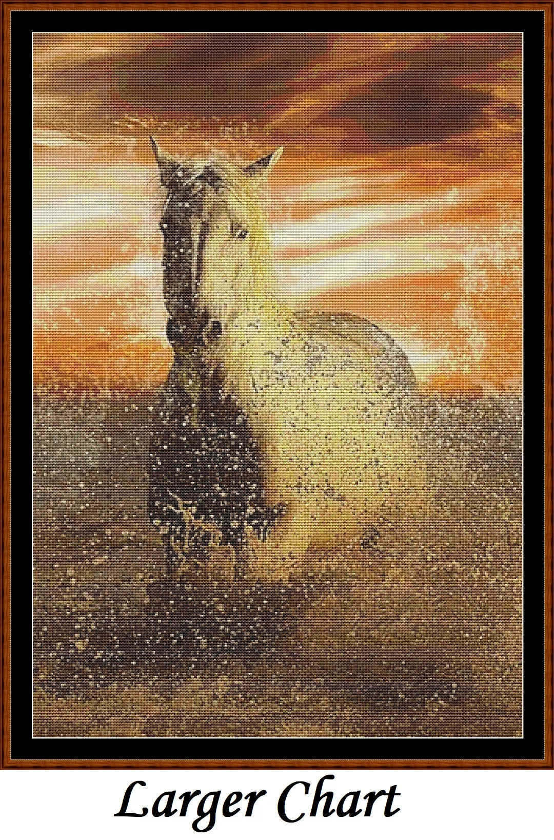 Sunset Gallop