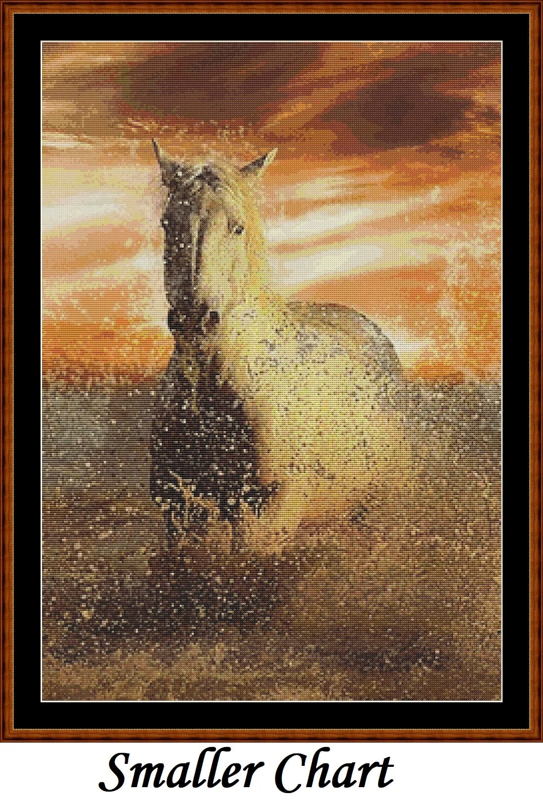 Sunset Gallop