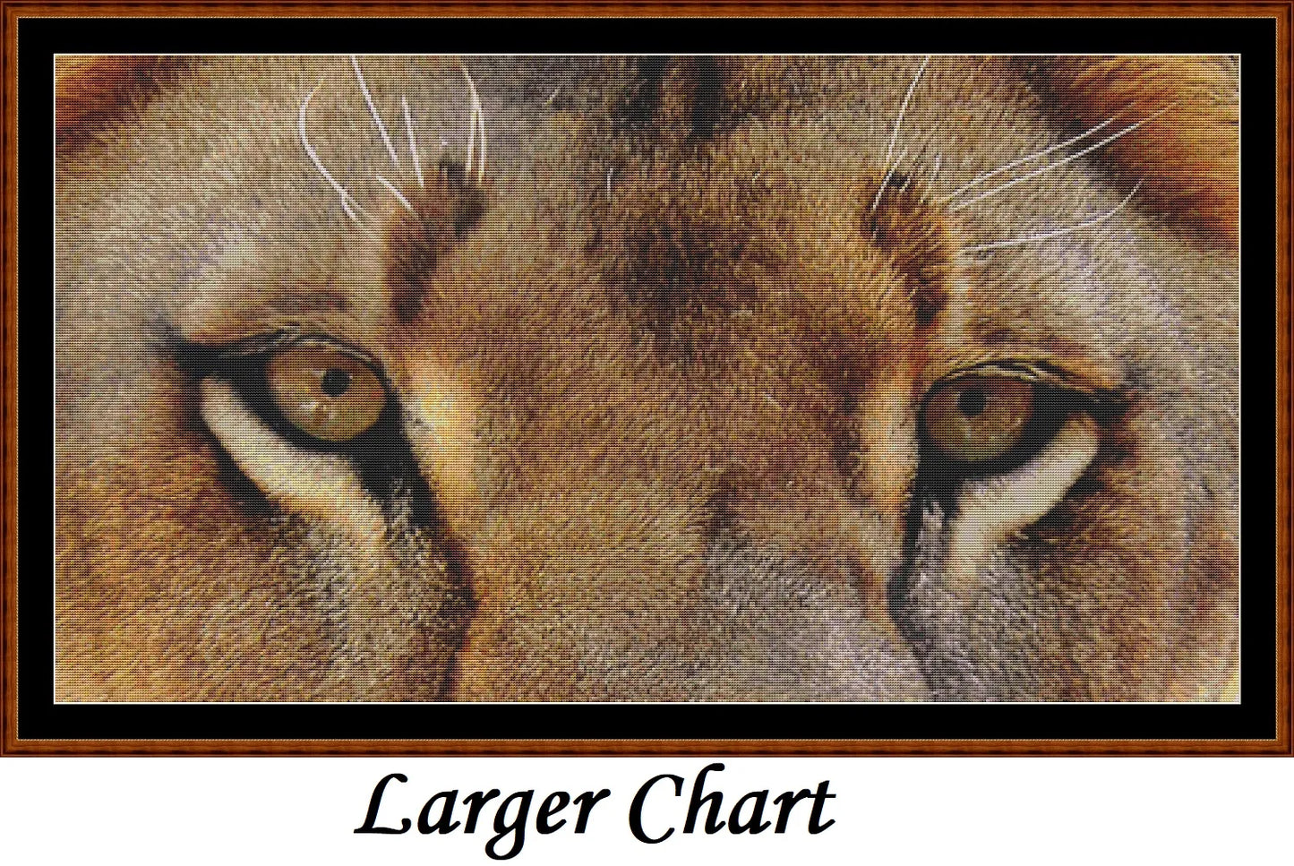 Lion Eyes