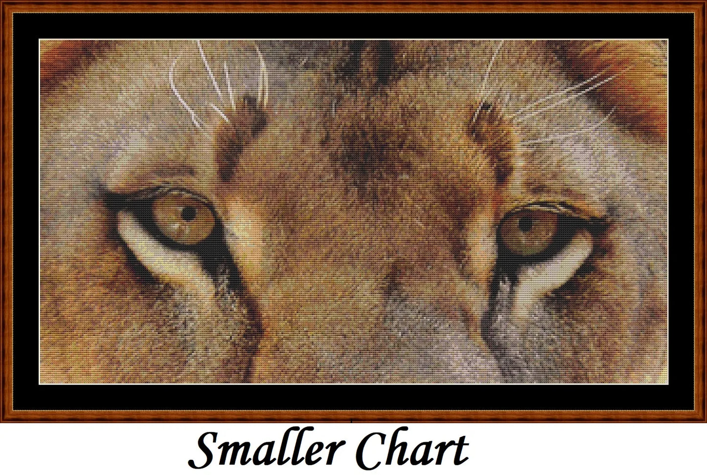 Lion Eyes