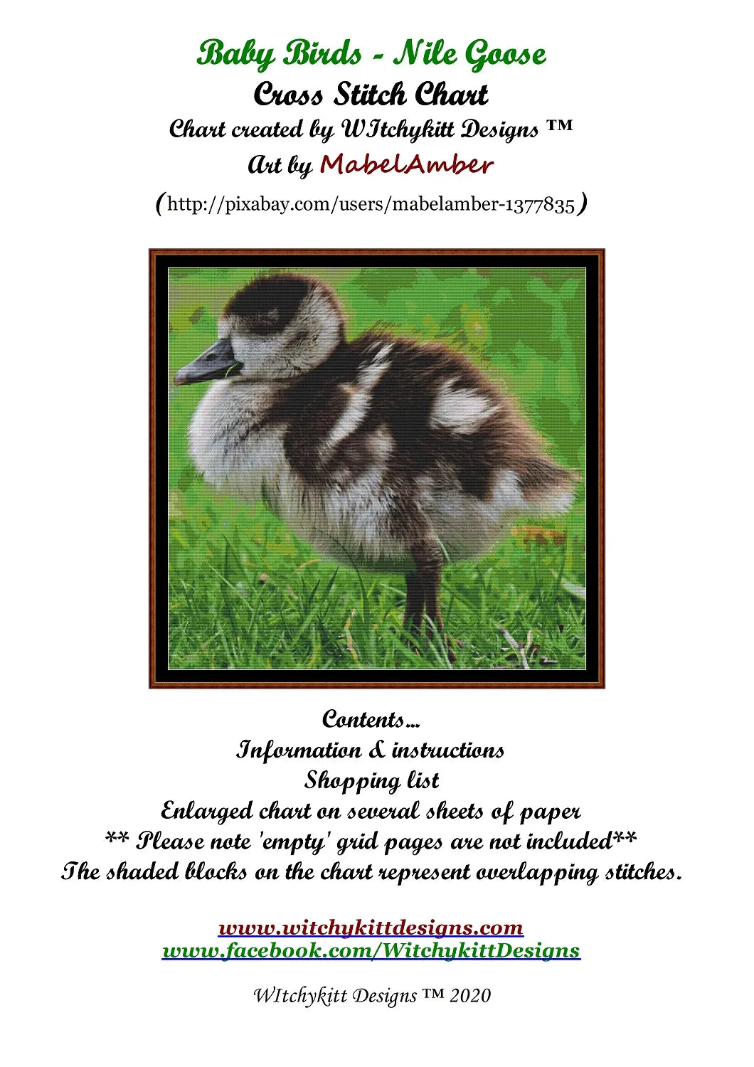 Baby Birds - Nile Goose