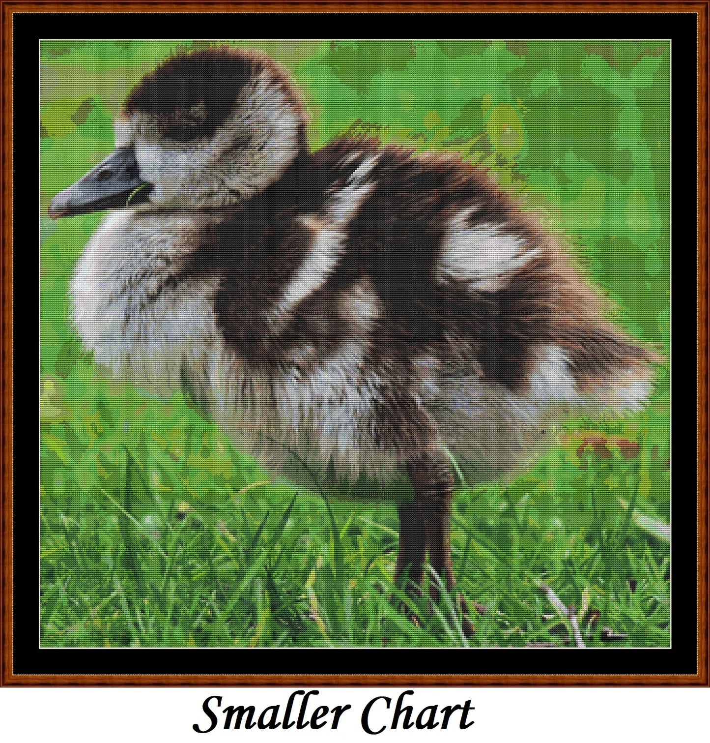 Baby Birds - Nile Goose