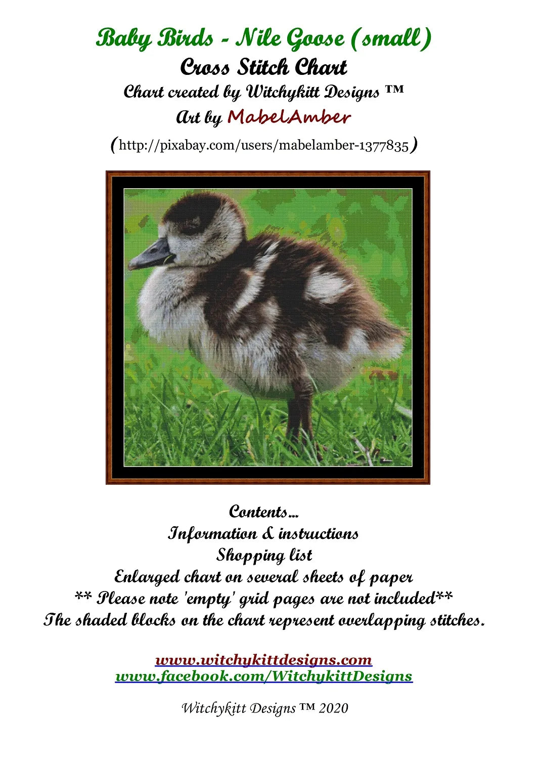 Baby Birds - Nile Goose
