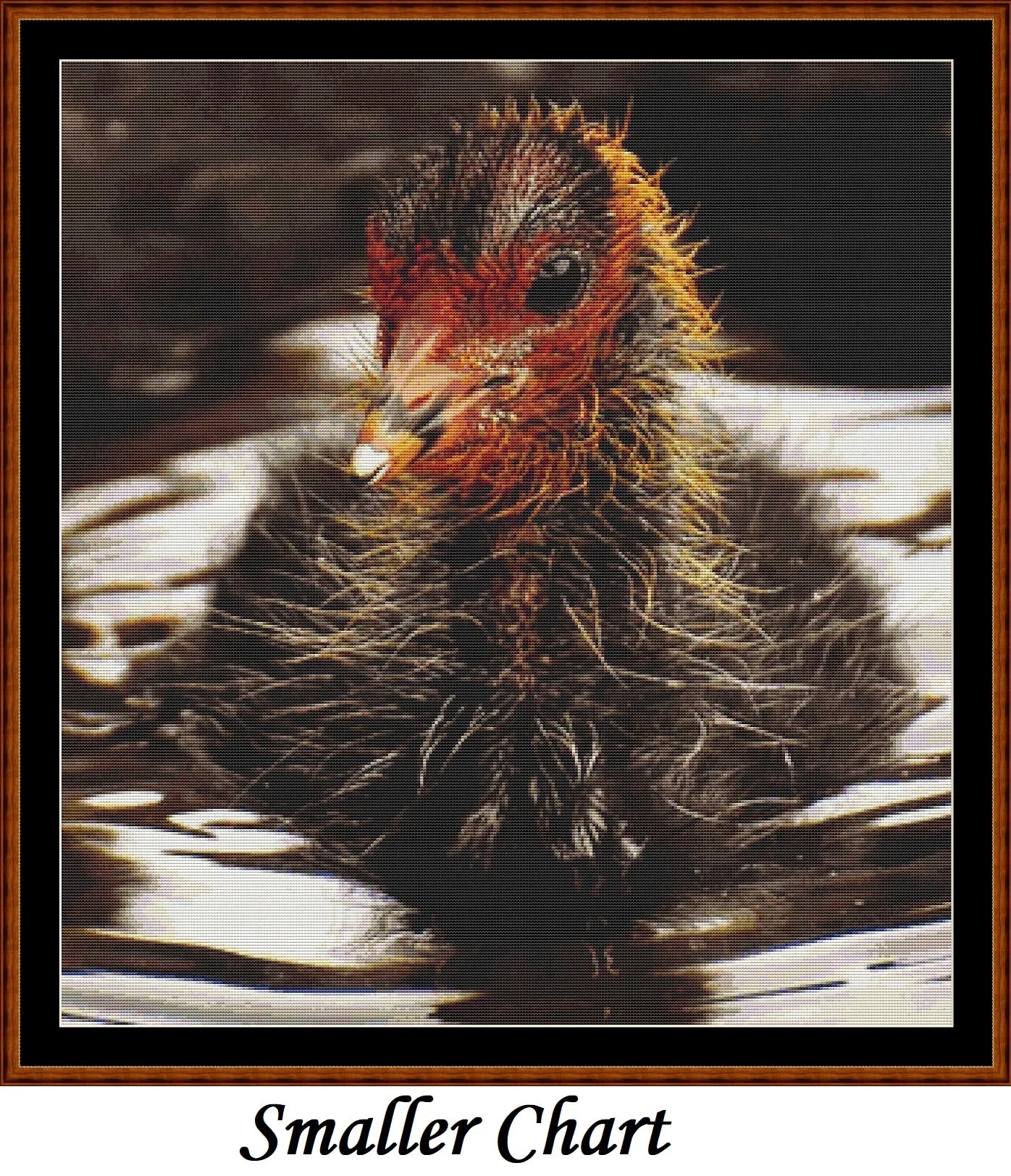 Baby Birds - Coot