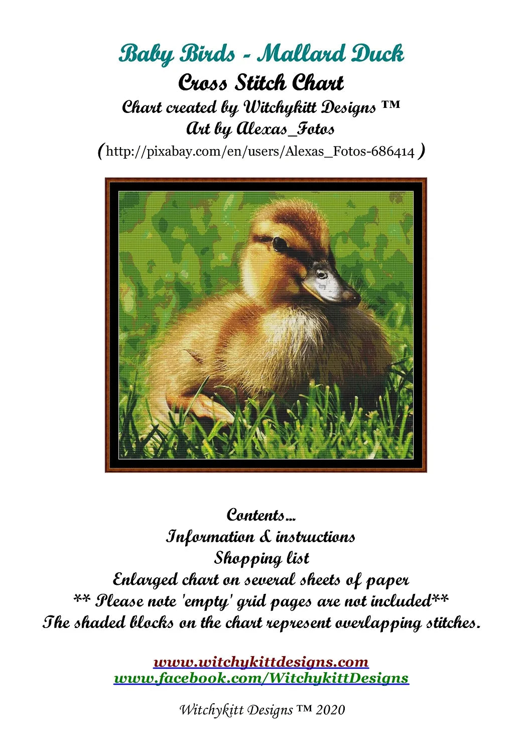 Baby Birds - Mallard Duck