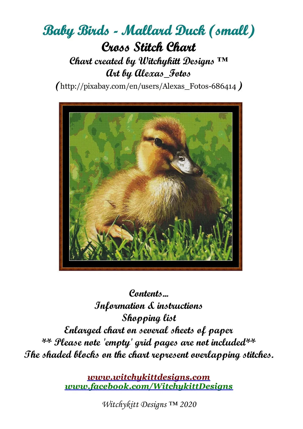 Baby Birds - Mallard Duck
