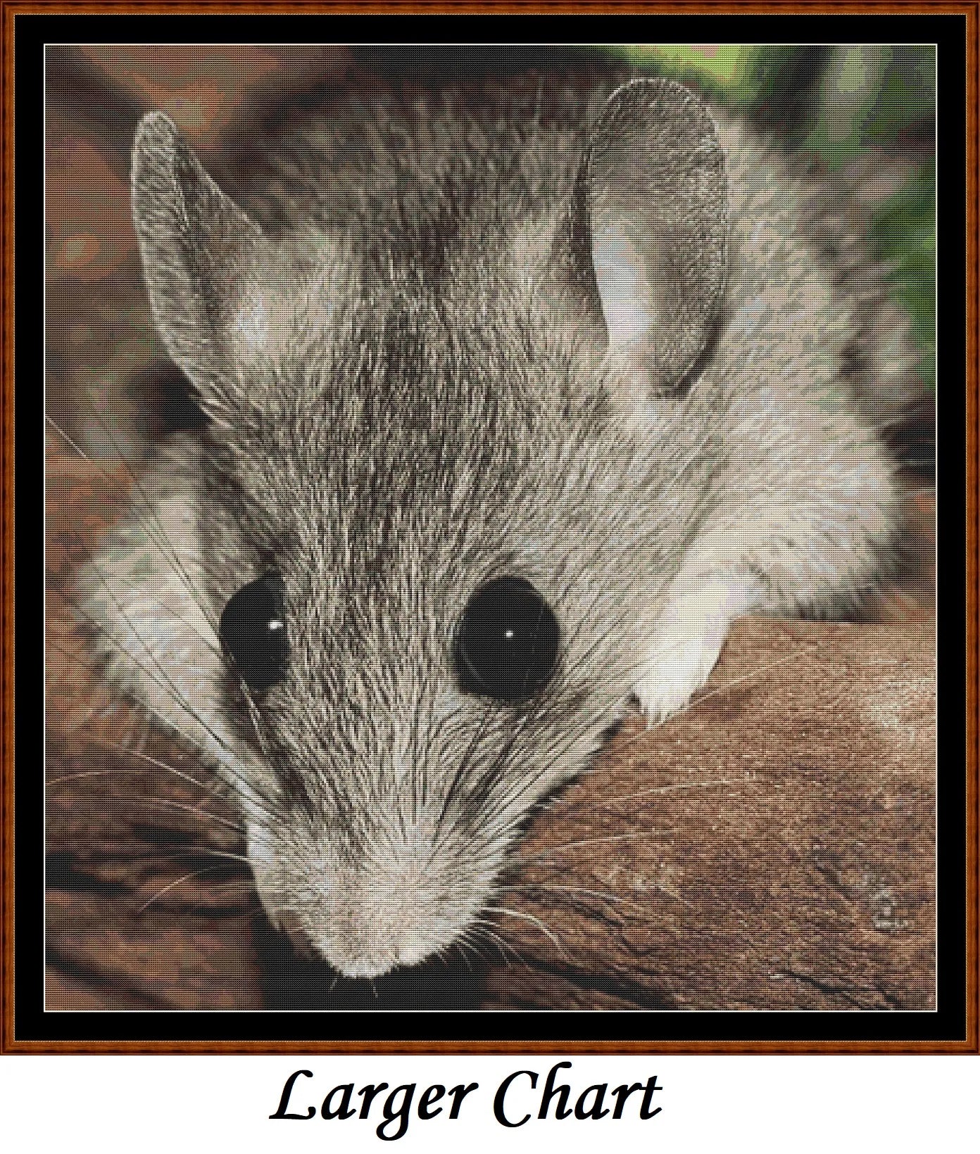 Big Eyes mouse patterns created from a photo by Silvia (sipa) under CC0 license