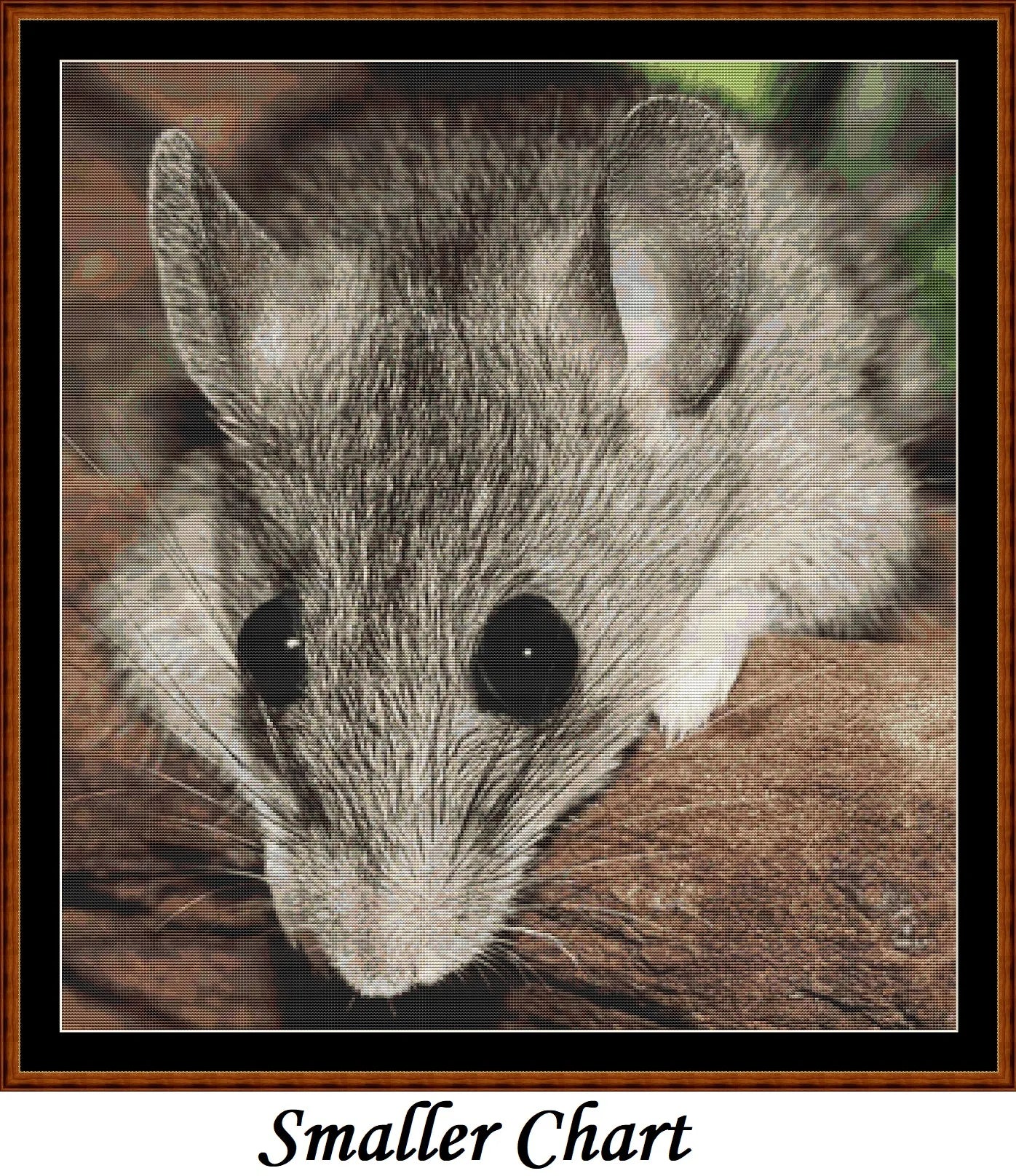 Big Eyes mouse patterns created from a photo by Silvia (sipa) under CC0 license