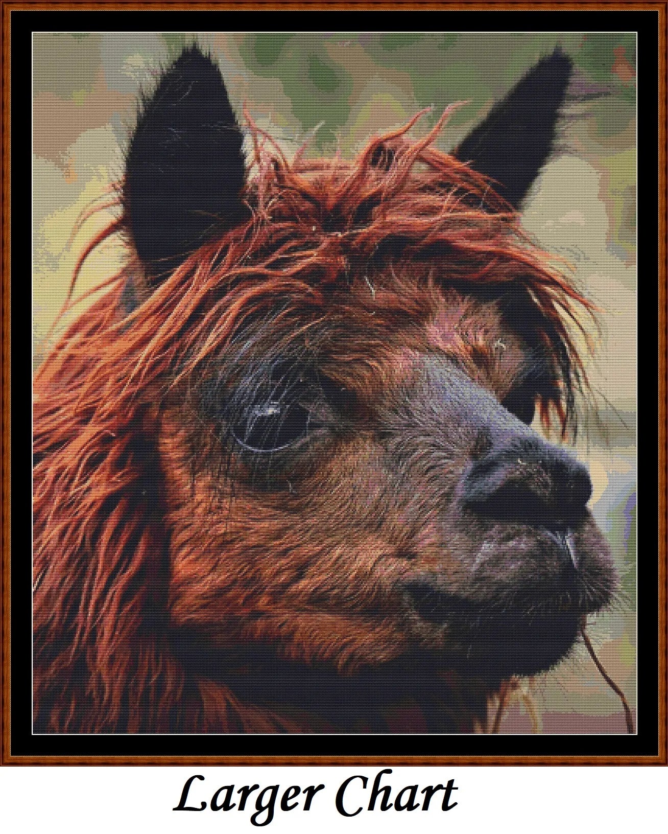 Alpaca