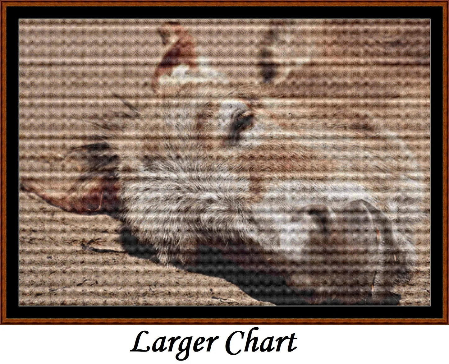 Sleepy Camel patterns created from a photo by Silvia under CC0 license