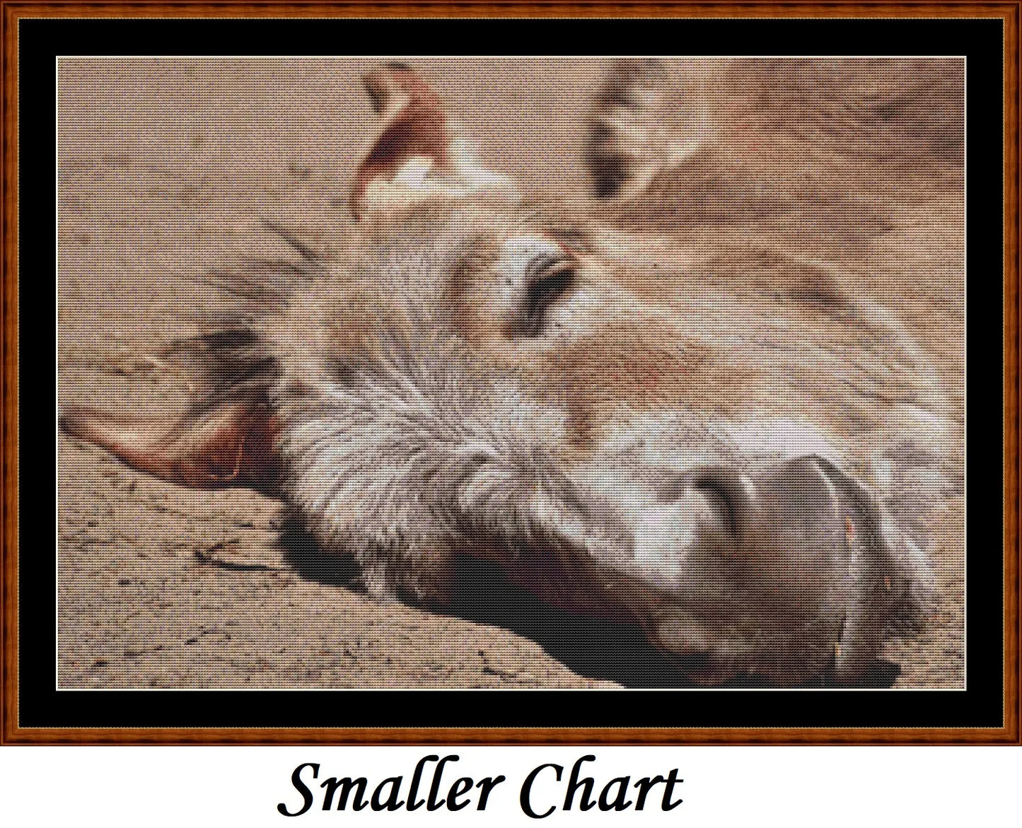 Sleepy Camel patterns created from a photo by Silvia under CC0 license