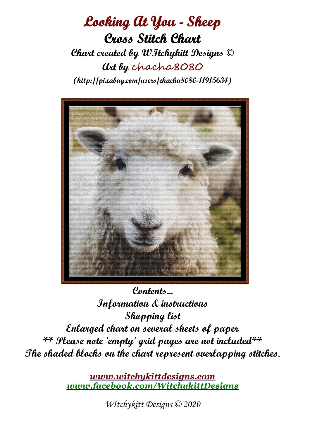 Looking At You - Sheep