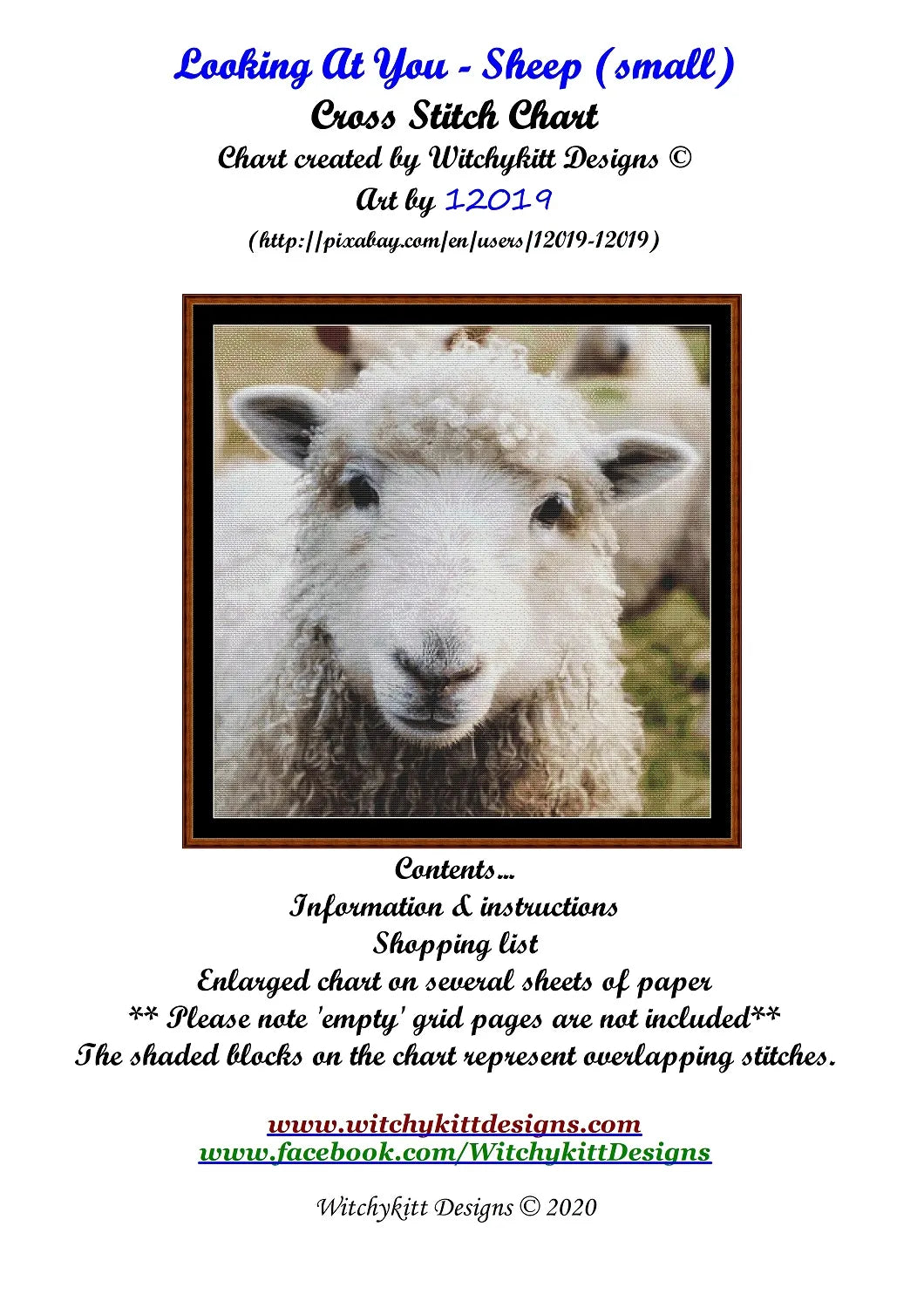 Looking At You - Sheep