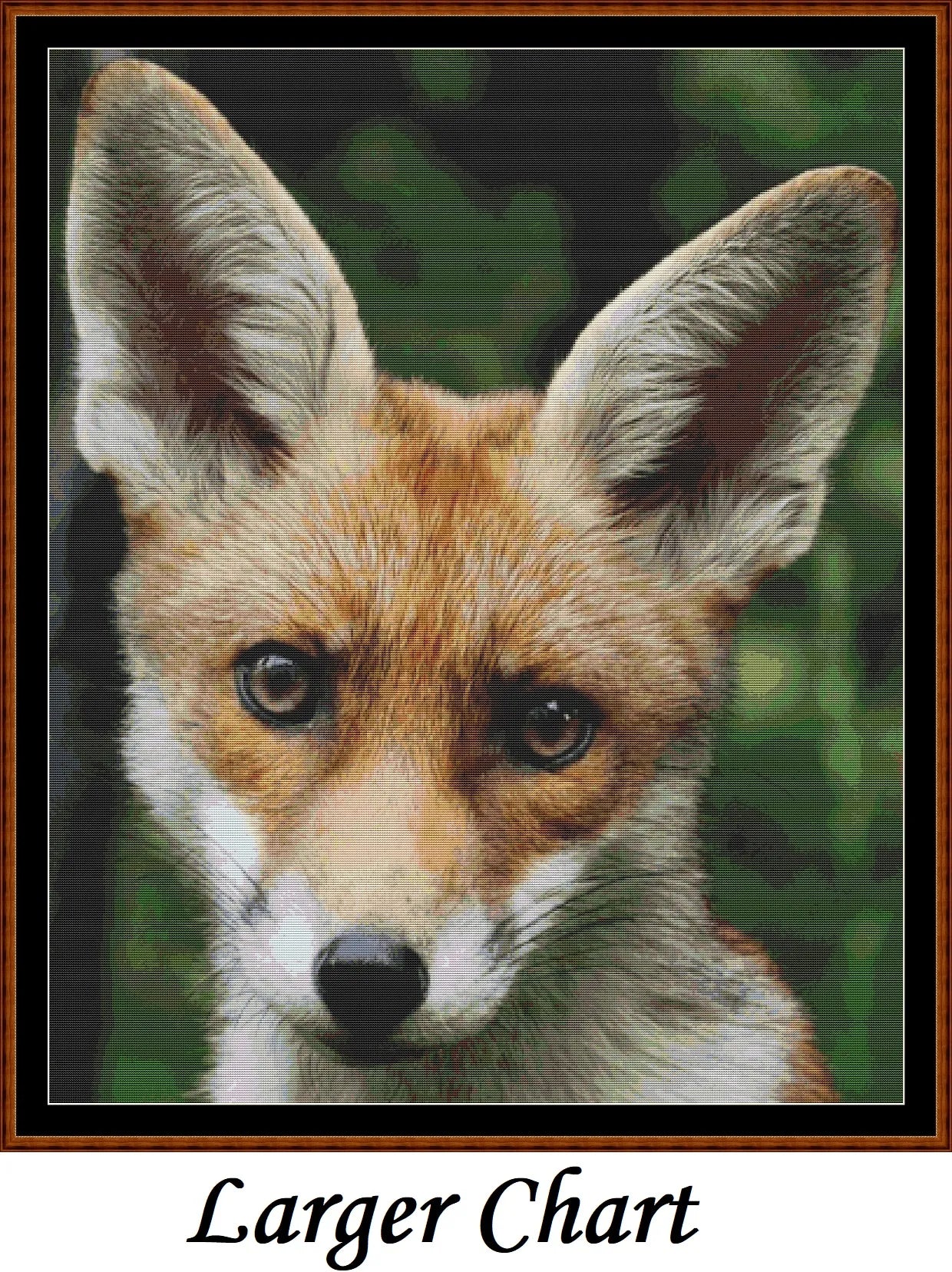 Baby Animals - Fox