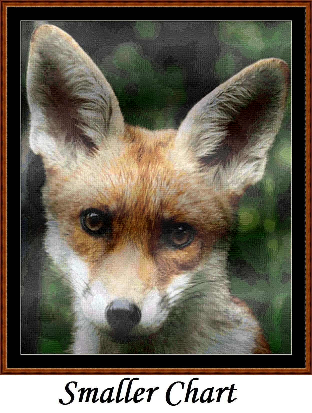 Baby Animals - Fox