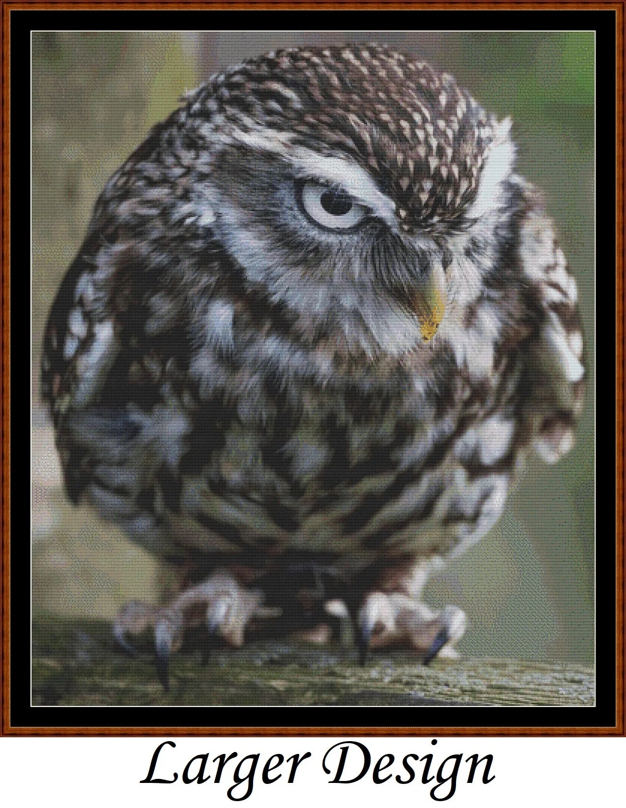 Angry Owl cross stitch patterns are a little owl design created from art by Paul Edney (ebor) under Public Domain CC0 license