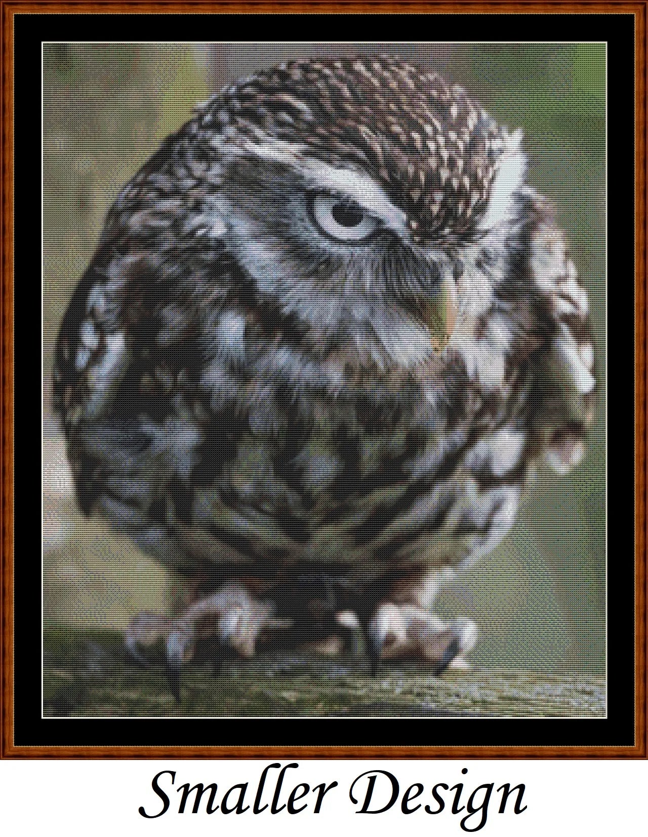 Angry Owl cross stitch patterns are a little owl design created from art by Paul Edney (ebor) under Public Domain CC0 license