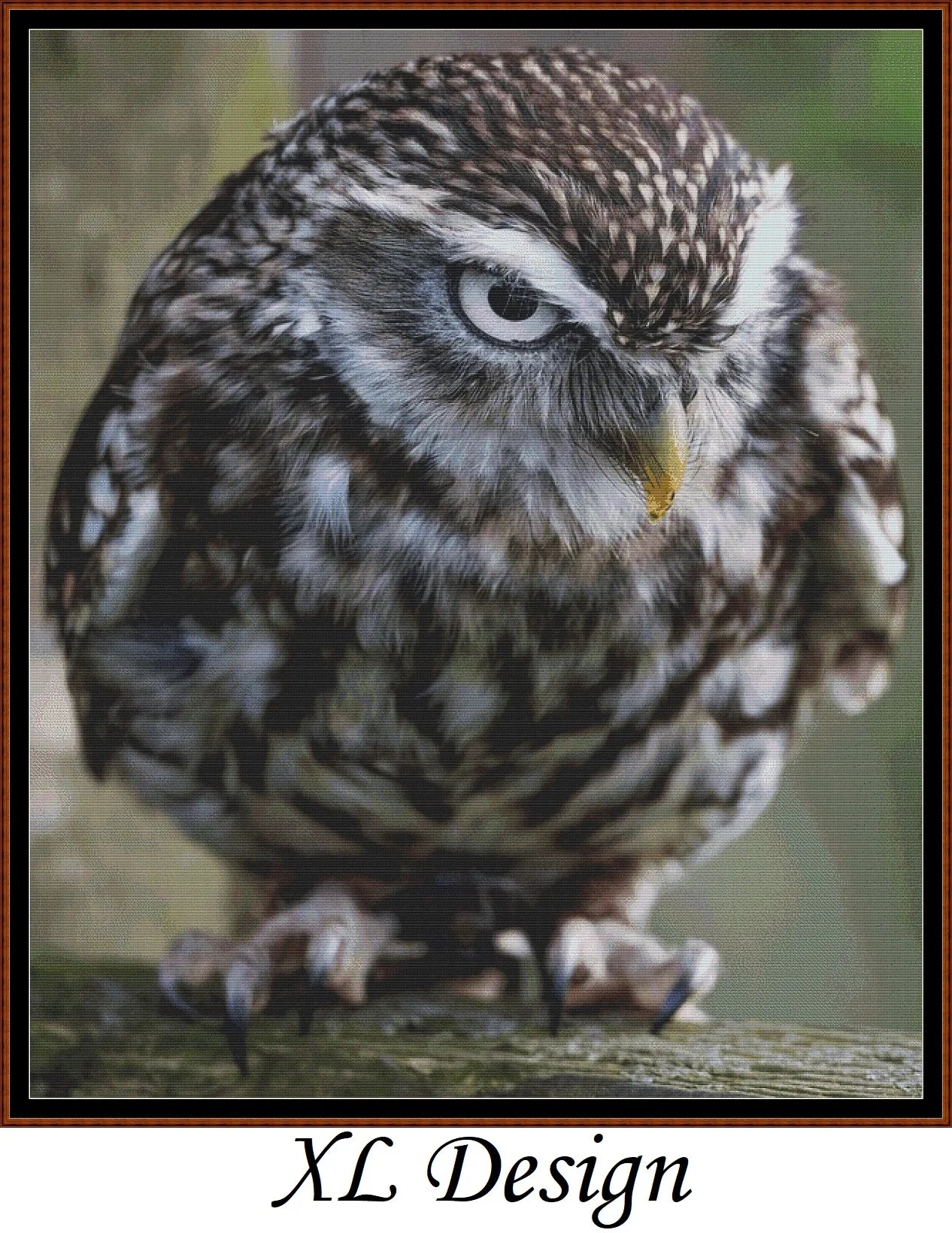 Angry Owl cross stitch patterns are a little owl design created from art by Paul Edney (ebor) under Public Domain CC0 license
