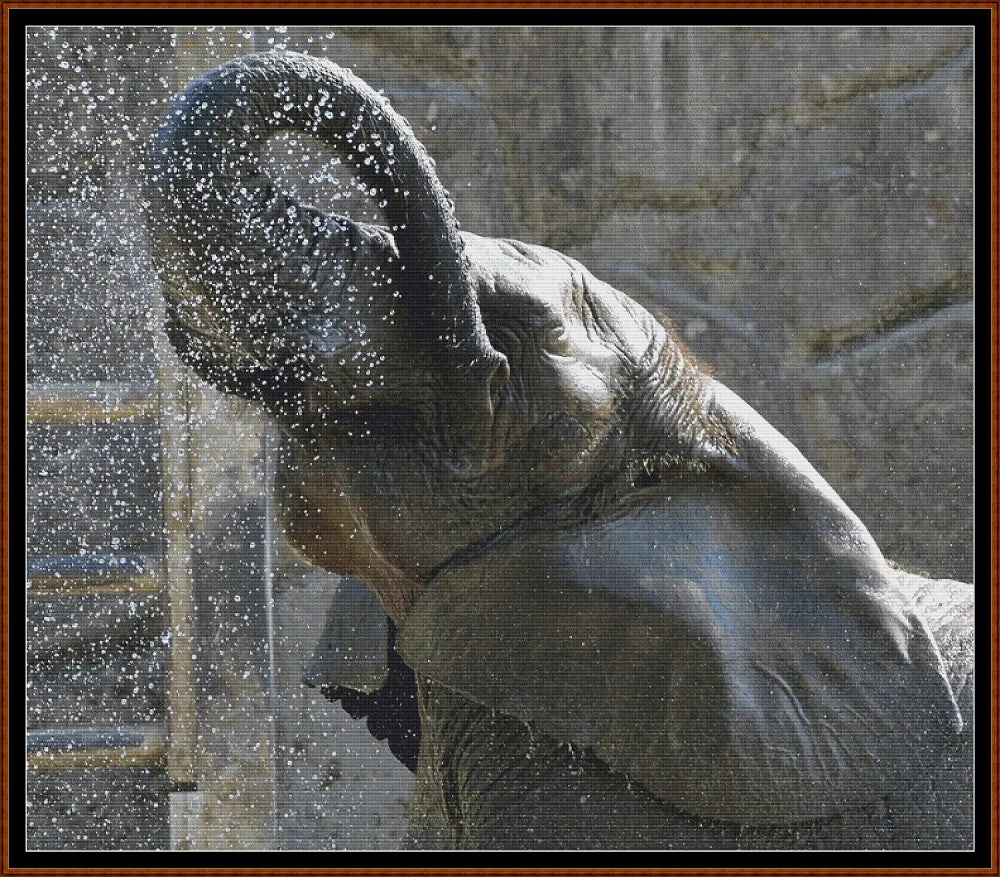 Elephant Shower