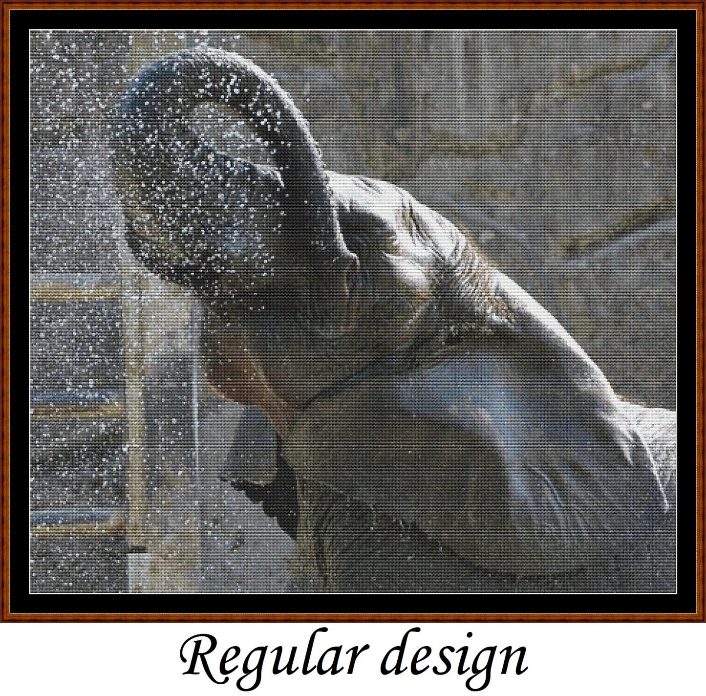 Elephant Shower