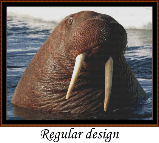 Water Creatures - Walrus