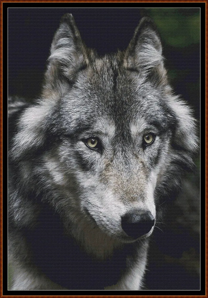Wolf