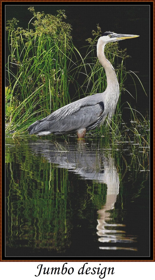 Reflections - Heron
