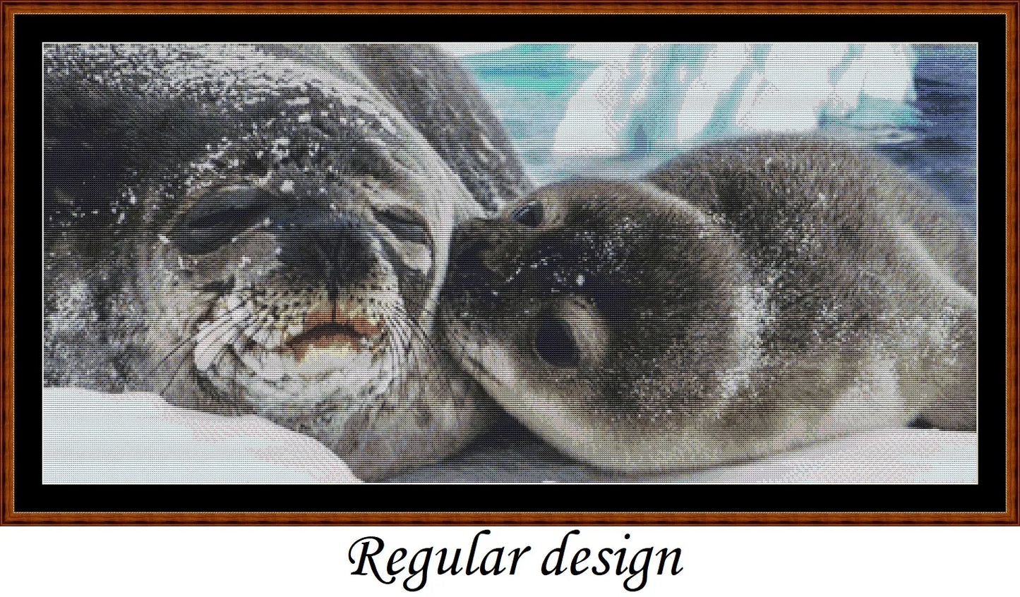 Seal Kisses