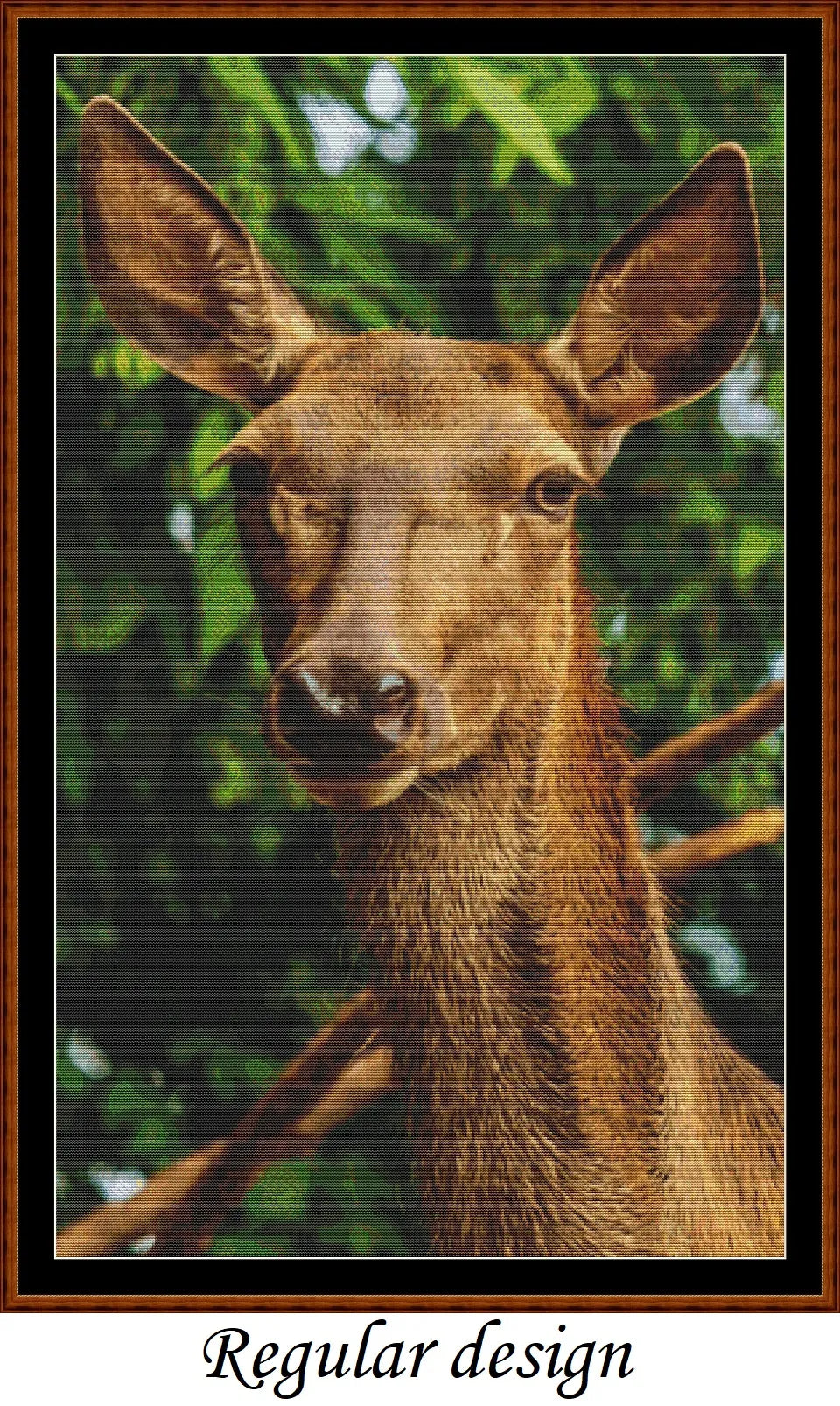 Red Deer Doe