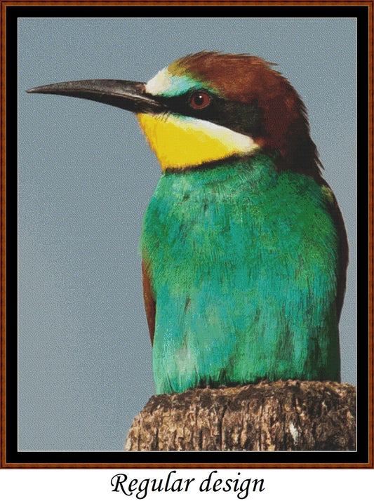 European Birds - Bee Eater