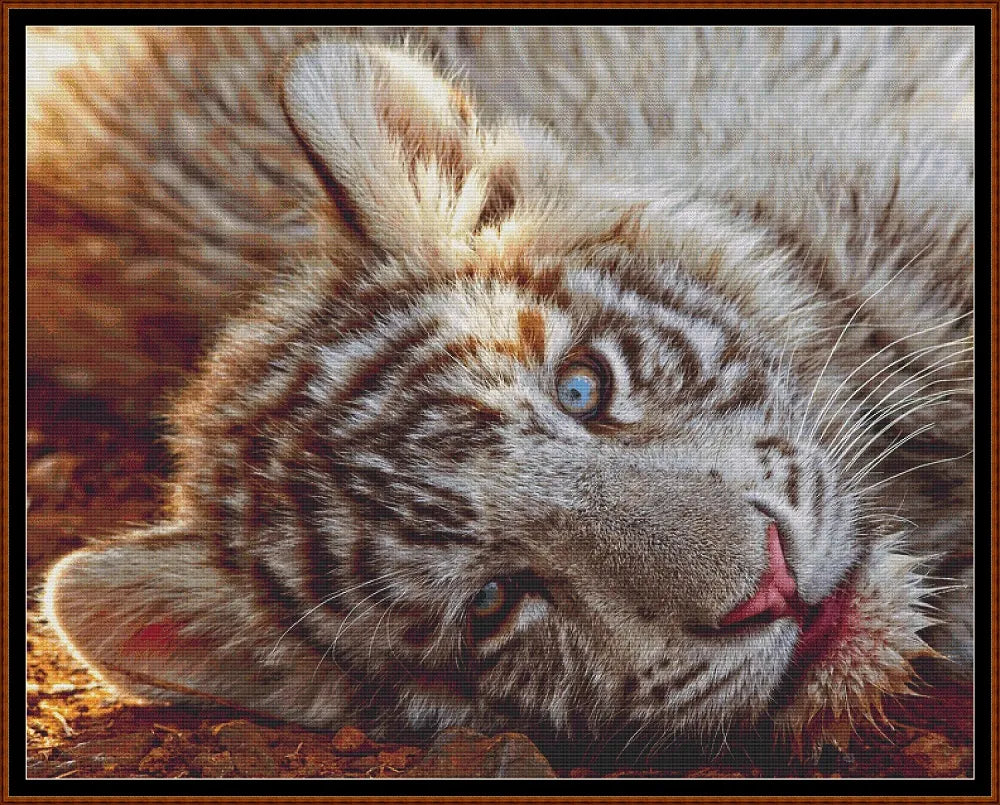 White Tiger Cub