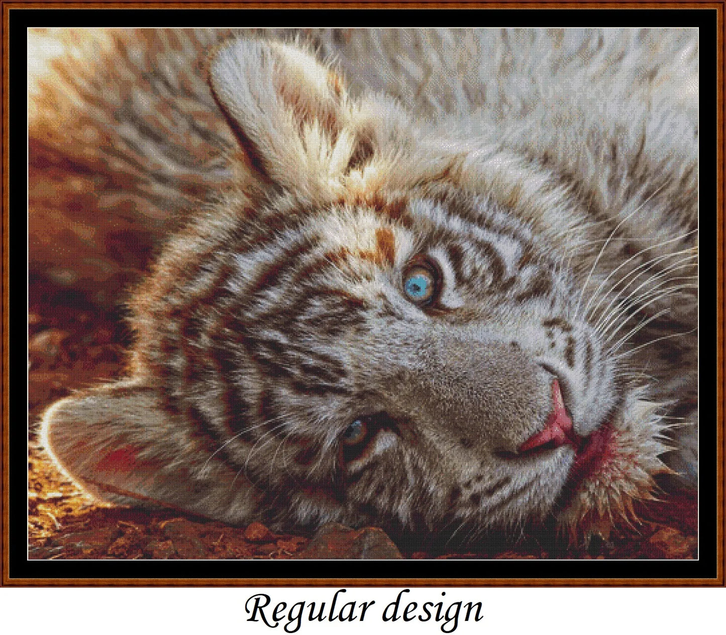 White Tiger Cub