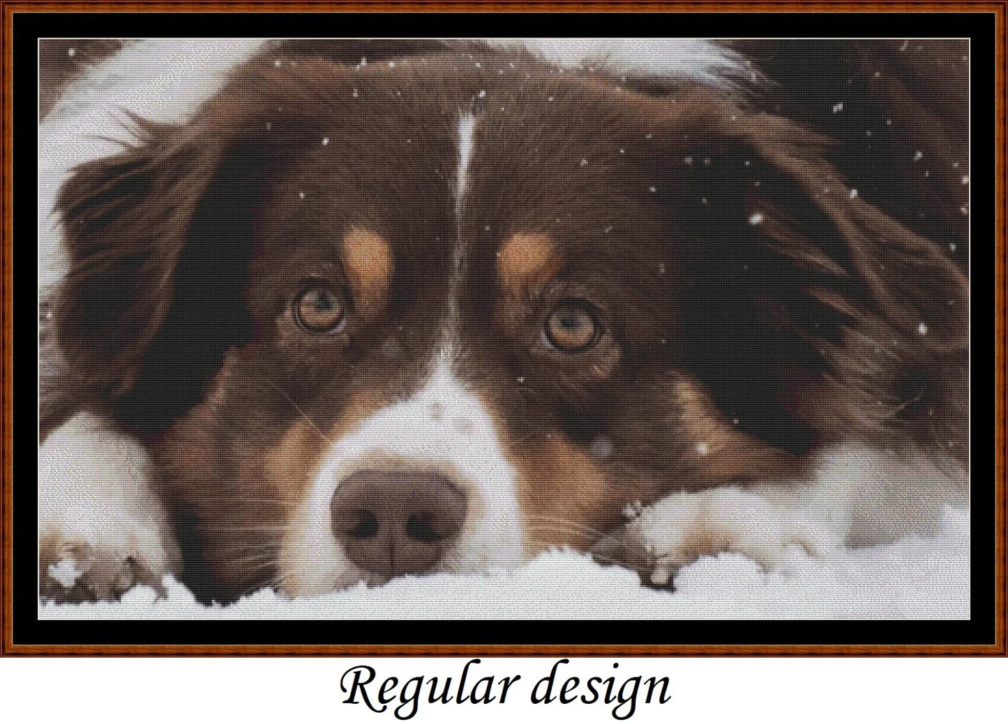 Sleepy Dogs - Australian Shepherd