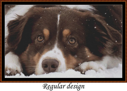 Sleepy Dogs - Australian Shepherd