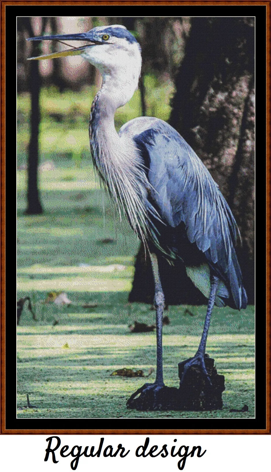 Great Blue Heron