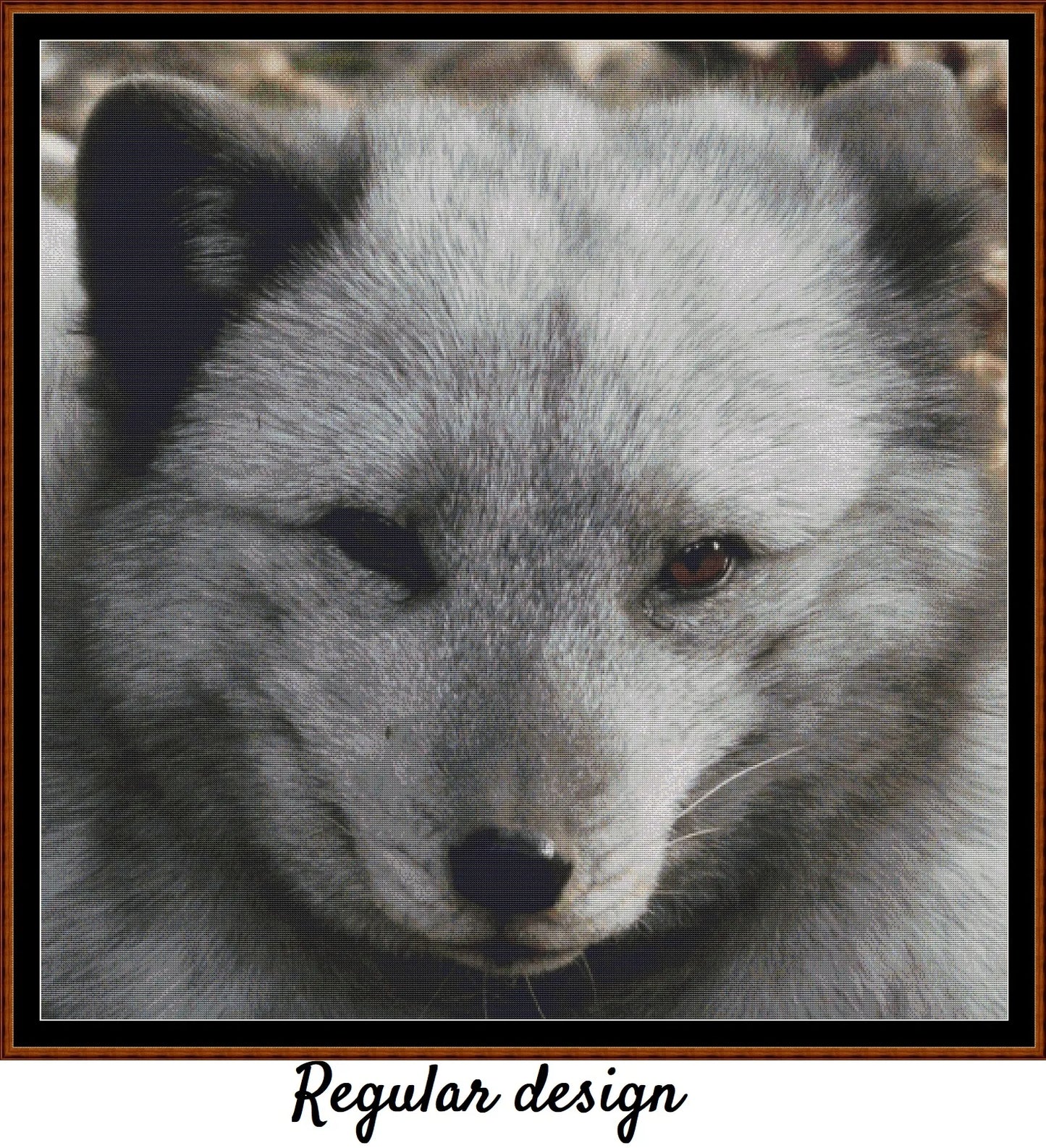 Arctic Fox