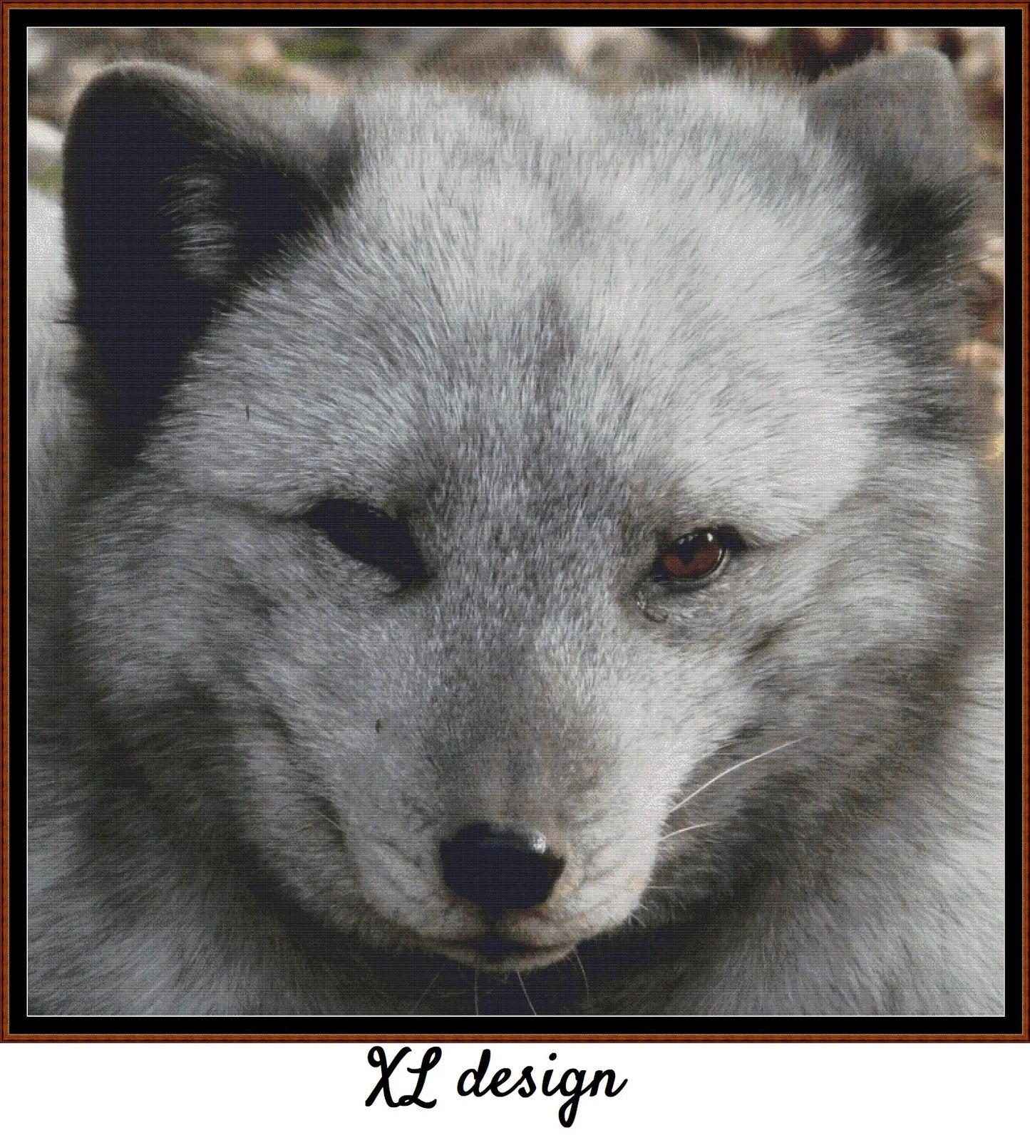 Arctic Fox