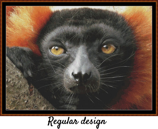 Red Buffed Lemur